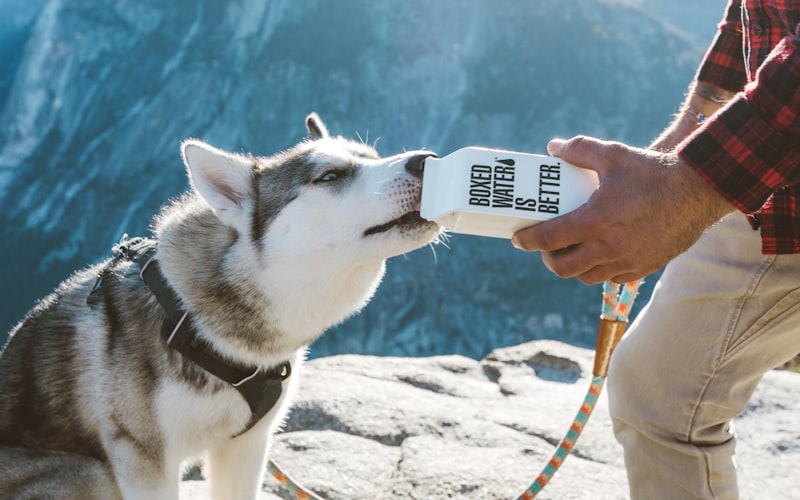 Designer travaillant sur des maquettes d'interface utilisateur