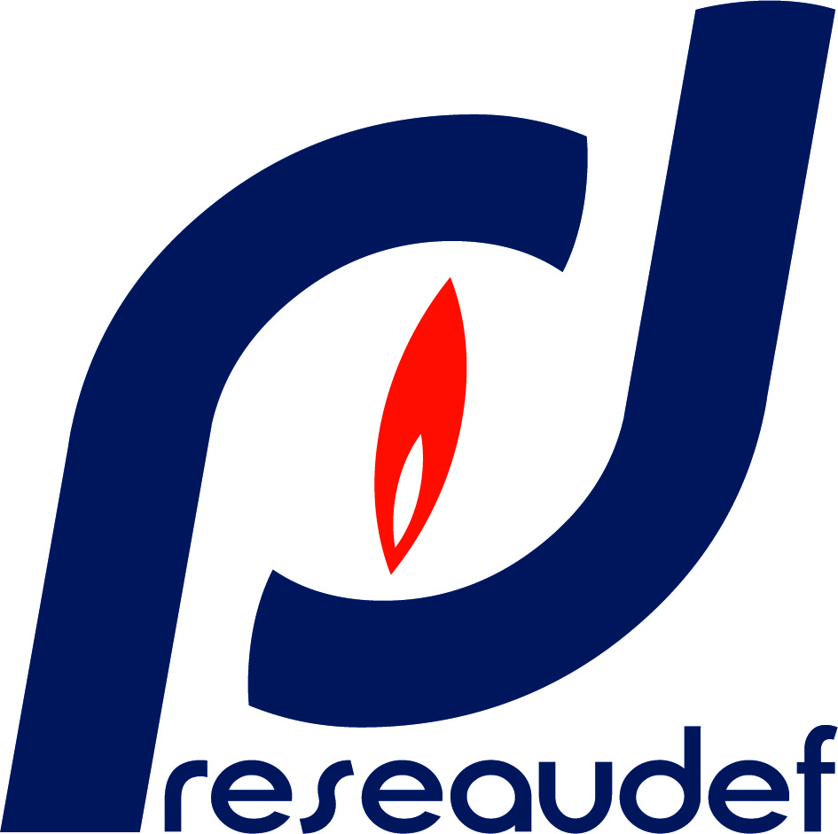 LA DETECTION ELECTRONIQUE FRANCAISE (DEF)